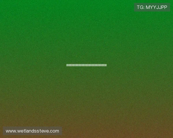 最新公布的约旦与阿尔及利亚世界杯门票价格及购票流程全攻略