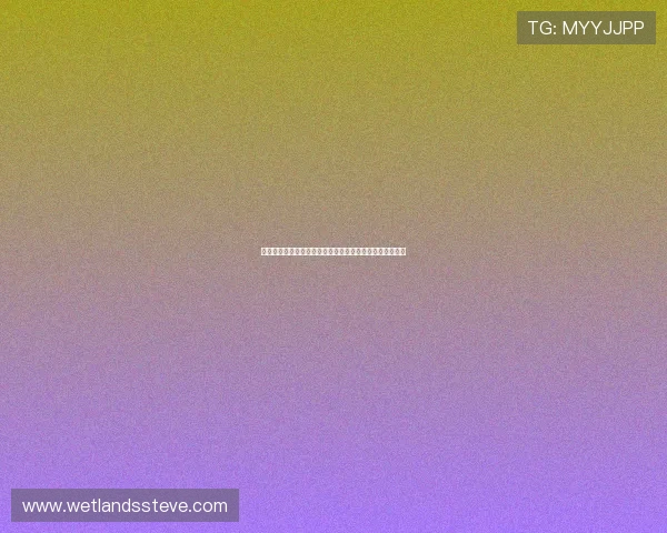 世界杯期间真人德州扑克比赛规则变化与最新赛事资讯一览